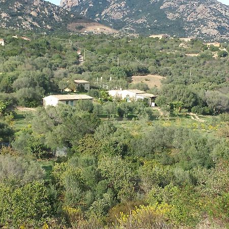 Agriturismo Agrisole Olbia Dış mekan fotoğraf