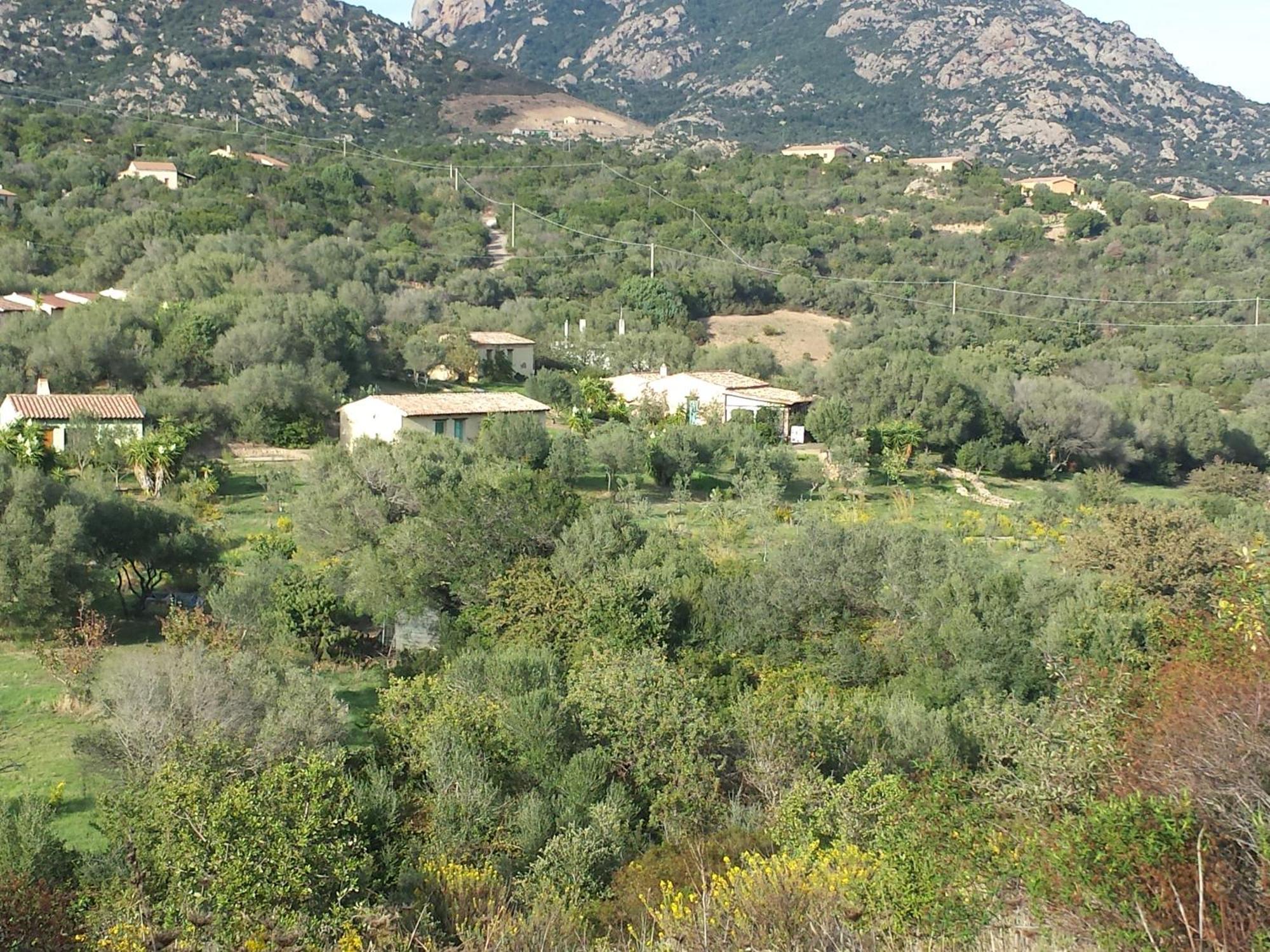 Agriturismo Agrisole Olbia Dış mekan fotoğraf