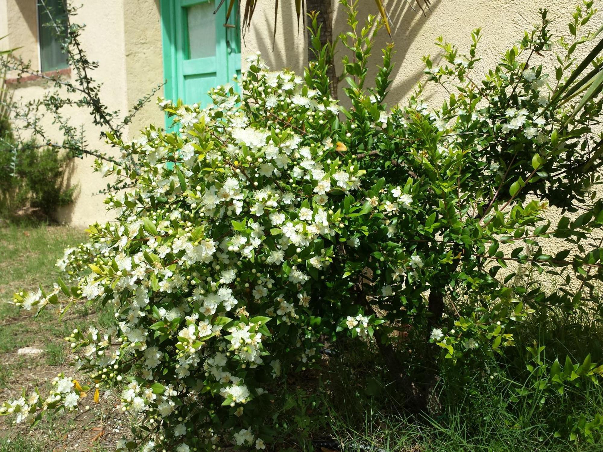 Agriturismo Agrisole Olbia Dış mekan fotoğraf