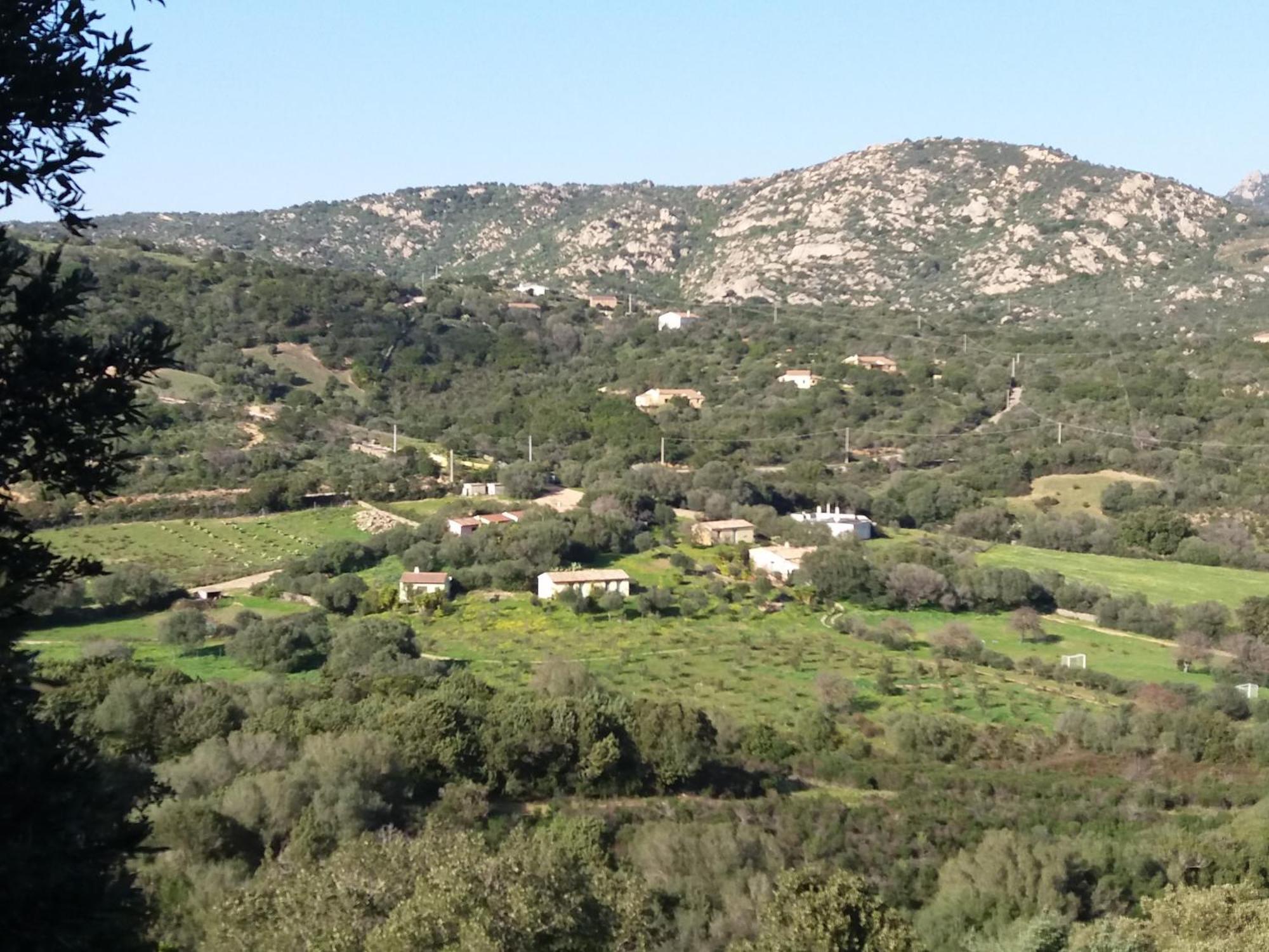 Agriturismo Agrisole Olbia Dış mekan fotoğraf