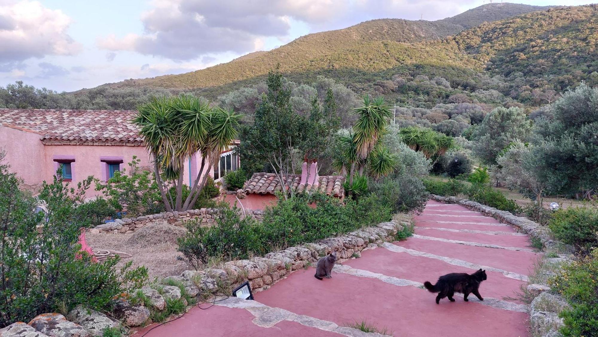 Agriturismo Agrisole Olbia Dış mekan fotoğraf
