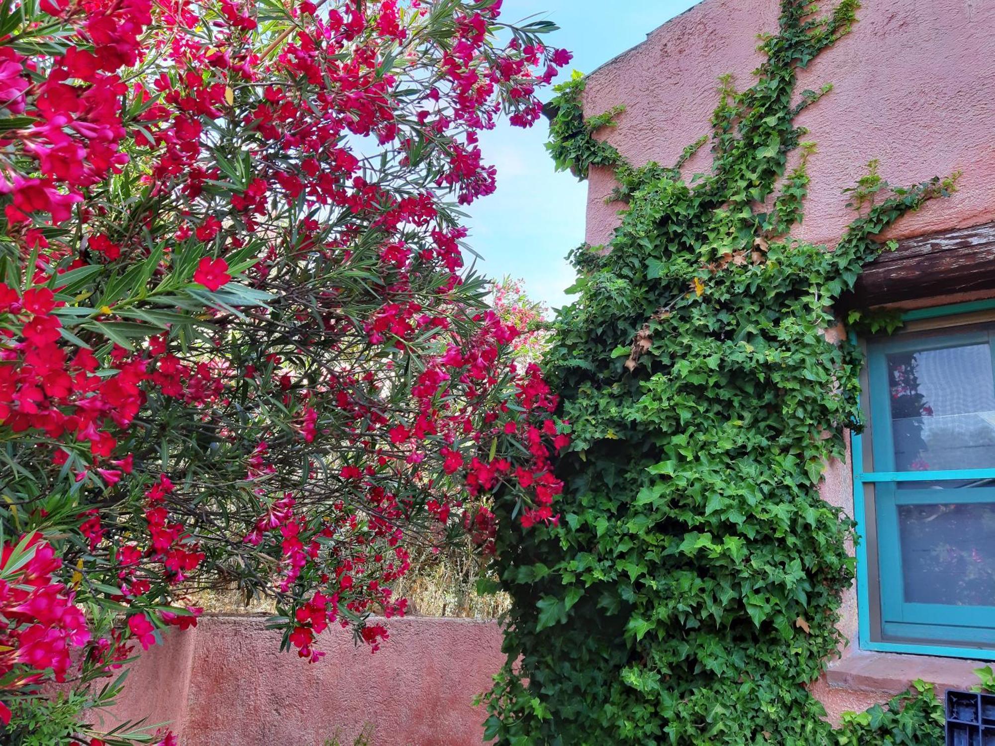 Agriturismo Agrisole Olbia Dış mekan fotoğraf